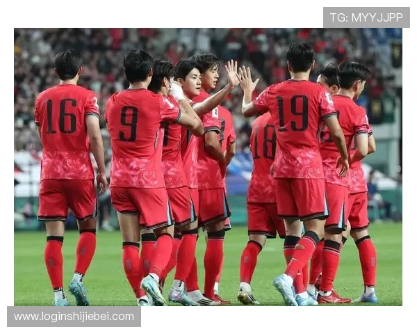 全面解读2026世界杯入围名单，哪些国家队有望创造历史